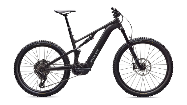2026 Turbo Levo 4 Alloy
