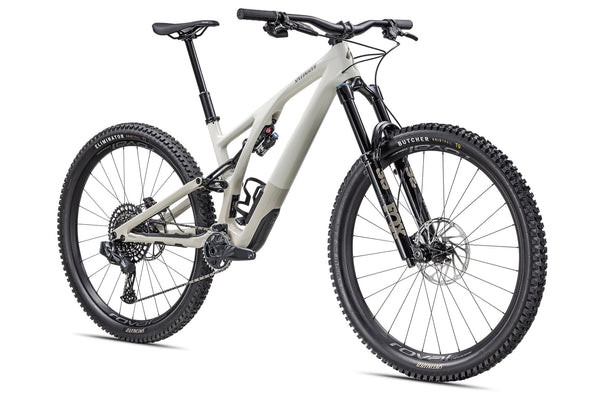 2023 Stumpjumper Evo Expert