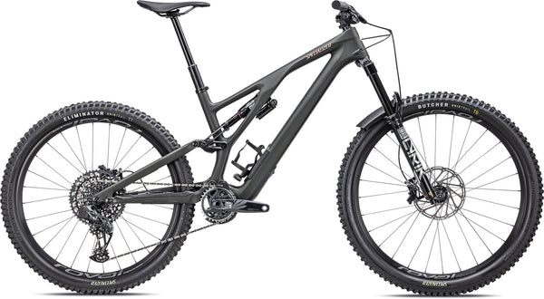 2023 Stumpjumper Evo LTD