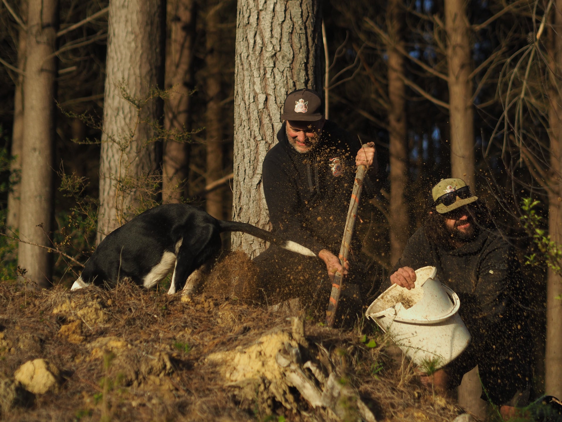 Bikes, Barks & Berms: Life of a Trail Dog.