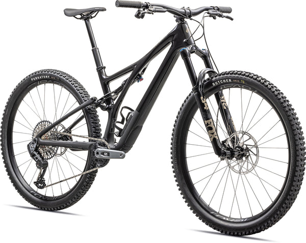 2023 Stumpjumper Expert T-Type
