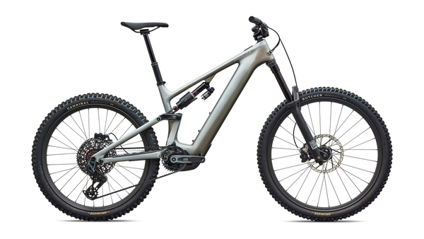 Specialized Levo 4 EVO Pro