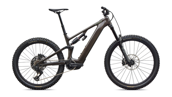 Specialized Levo 4 EVO Comp
