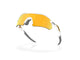 Oakley Radar Plate Polished White w/Prizm 24k Polarized