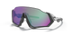 Oakley Flight Jacket Glasses